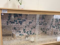 -美联众合爱康动物医院•复杂内科•肿瘤科•牙科•腔镜诊疗中心