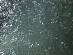 -碧水湾温泉