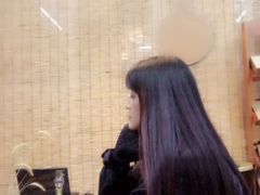 -秦岭风景区