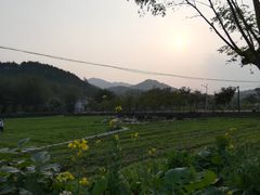 -红山村