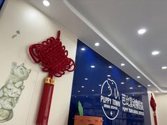 -芭比堂动物医院·24小时·眼科中心(深圳中心)