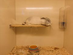 -龙猫仔乐园(惠福东路店)