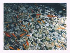 -福州罗源湾海洋世界旅游区