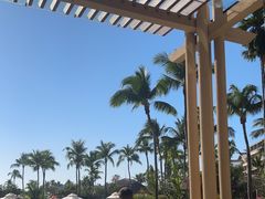 -亚龙湾希尔顿自助餐厅·海鲜·烧烤·沙滩BBQ·现场乐队