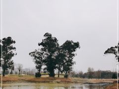 -两河城市森林公园