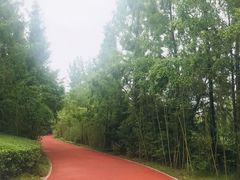 -城市运动公园(未央区)