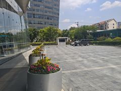 -金虹桥商场