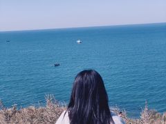 -仙人岛