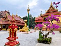 -西双版纳傣族园