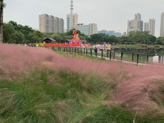 -映月湖公园