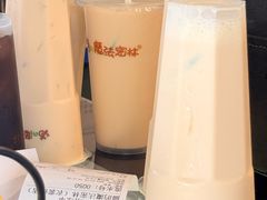 -猫的魔法密林(衣裳街店)