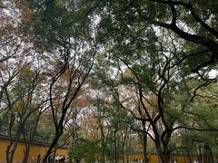 -西园戒幢律寺