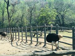 -西安秦岭野生动物园