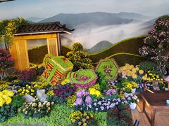 -杭州植物园