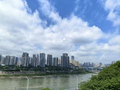 -李子坝梁山鸡(李子坝大鸡哥店)