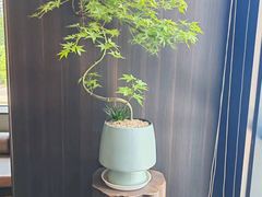 -大拙里·精致融合菜(沙湖桃源国际店)