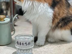 -玫瑰咖啡(中山六路店)