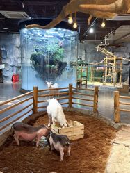 -Zoolung Zoolung动物主题公园(海信广场店)