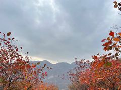 -周口店坡峰岭风景区