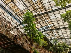-呀路古热带植物园