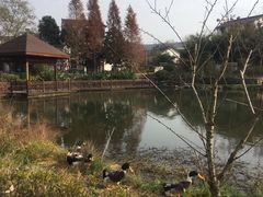 -石塘人家