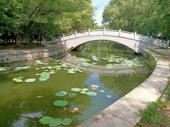 -北陵公园