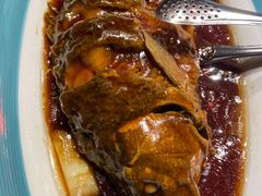 开河鲤鱼-九十九顶毡房(阜石路店)