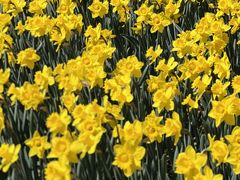 -玄武湖景区-情侣园游乐场