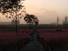 -汉长安城未央宫国家考古遗址公园