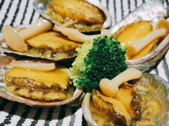 金汁鲍鱼-黑松白鹿(崇文门新活馆店)