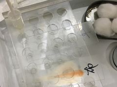 -美联众合爱康动物医院•复杂内科•肿瘤科•牙科•腔镜诊疗中心
