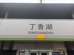 -丁香湖公园