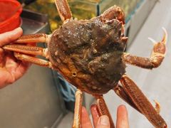 -震海贝烤贝·民俗特色店(延吉总店)