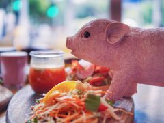 -WHEN PIGS FLY当猪飞