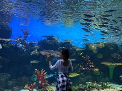 -华夏文旅海洋公园