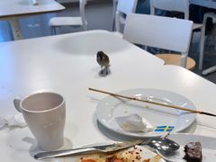 -宜家·瑞典风味餐厅(三桥店)