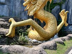 -宜兴龙背山森林公园