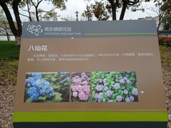 -高东镇樱花园