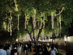 -大雁塔北广场音乐喷泉