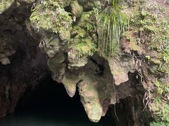 -怀托摩萤火虫洞