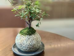 -小西家作(富力爱丁堡店)