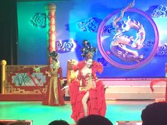 -金东尼人妖秀