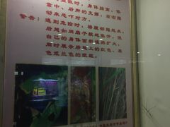 -上海昆虫博物馆