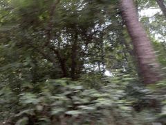 -湖南大学-中国书院博物馆