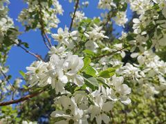 -鹫峰国家森林公园