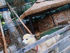 -静之湖湖畔餐厅