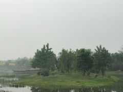 -东郊湿地公园