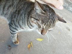 -小象钓虾·营地烧烤(洛溪店)