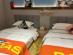 -国宝熊猫酒店(春熙路天府广场店)