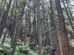 -汉堡王(上海虹口龙之梦)